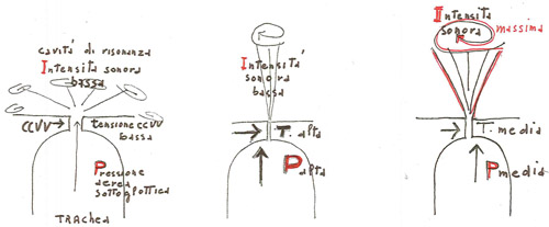 Figura 4 - l'intensità di un flusso espiratorio in rapporta
alla forza contrattile vocale e alla pressione sottoglottica, espressione della gestione dei muscoli respiratori